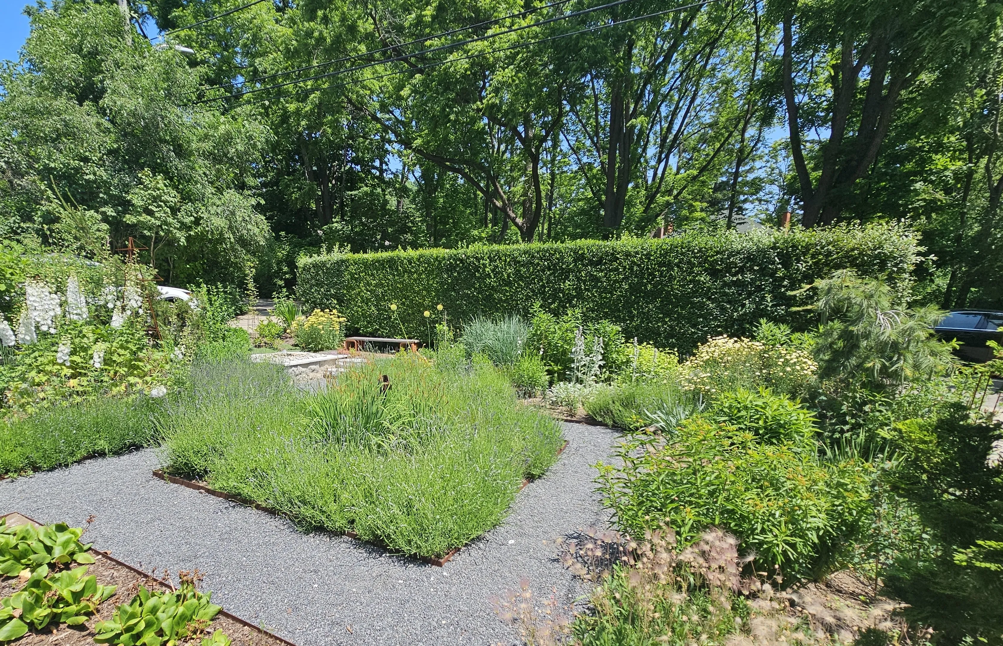 Fusion landscaping